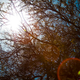 Image for article titled Shooting Challenge: Lens Flare Gallery Part Two